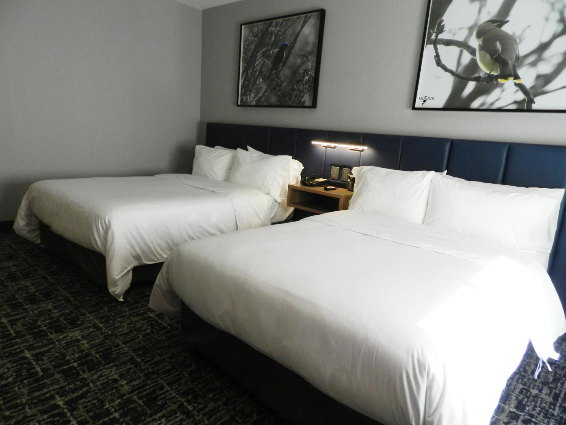 Voco Saltillo Suites By Ihg Екстериор снимка