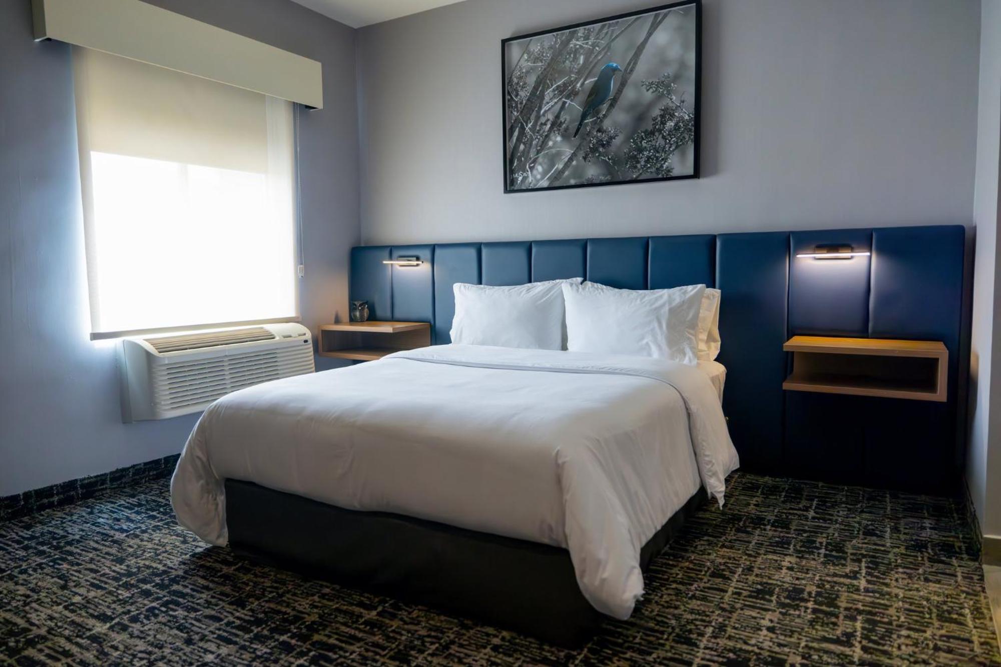 Voco Saltillo Suites By Ihg Екстериор снимка