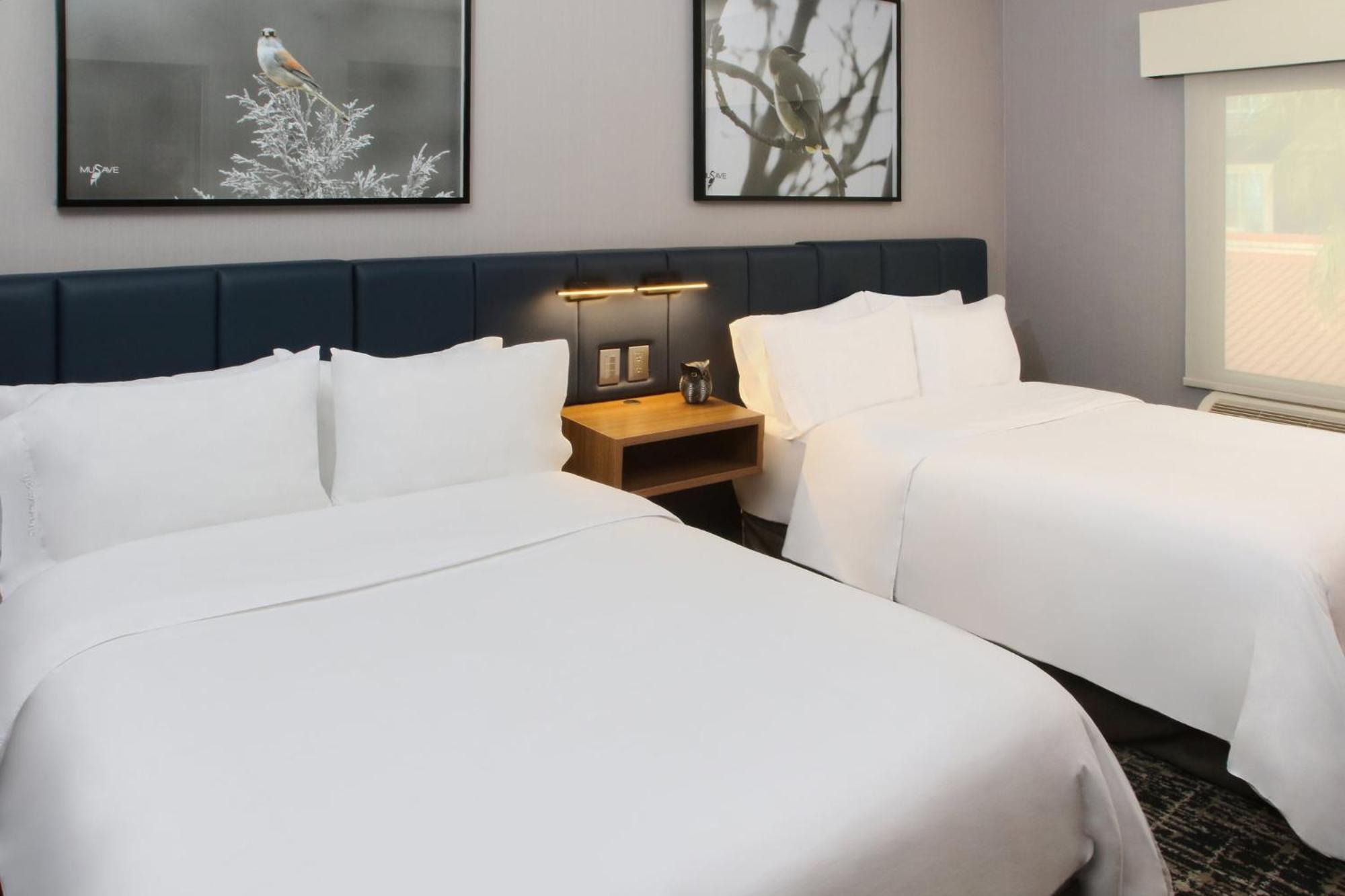 Voco Saltillo Suites By Ihg Екстериор снимка