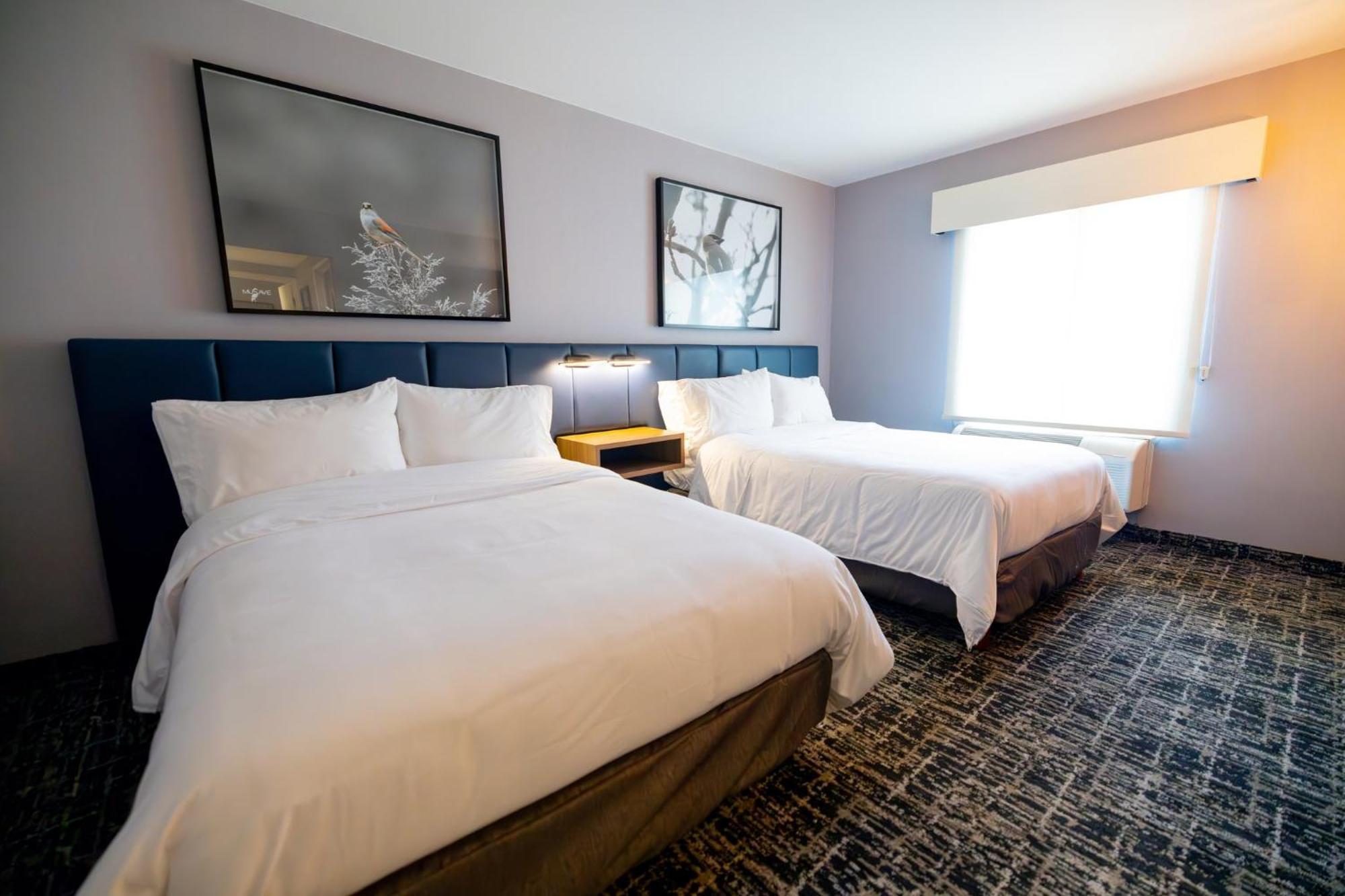 Voco Saltillo Suites By Ihg Екстериор снимка