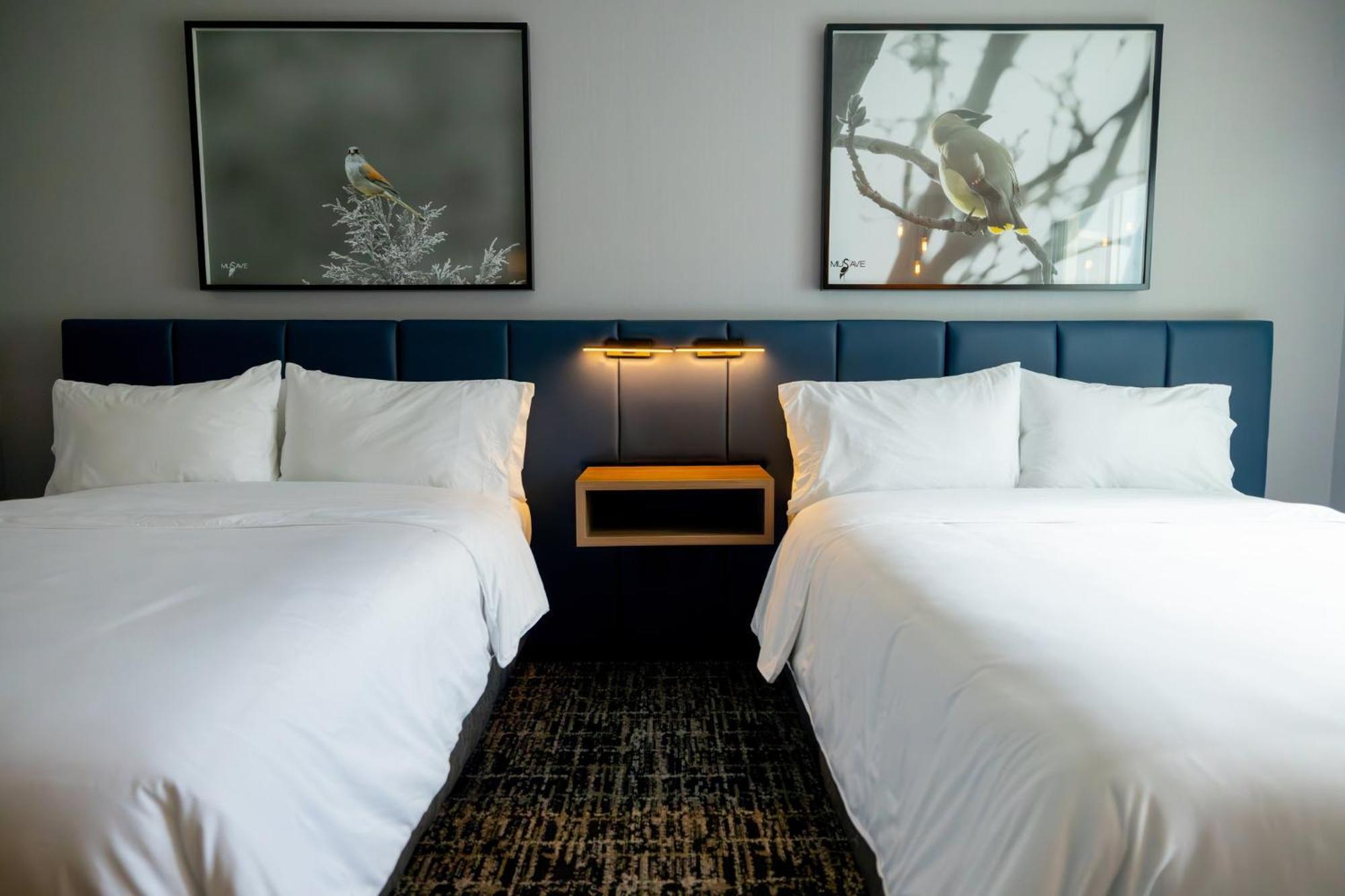 Voco Saltillo Suites By Ihg Екстериор снимка